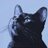 ghostcat3000's profile image