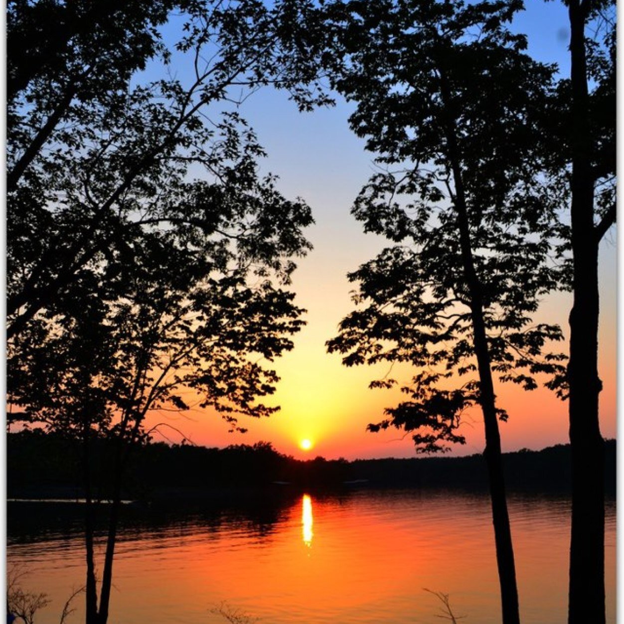 peacocks54's profile picture. 