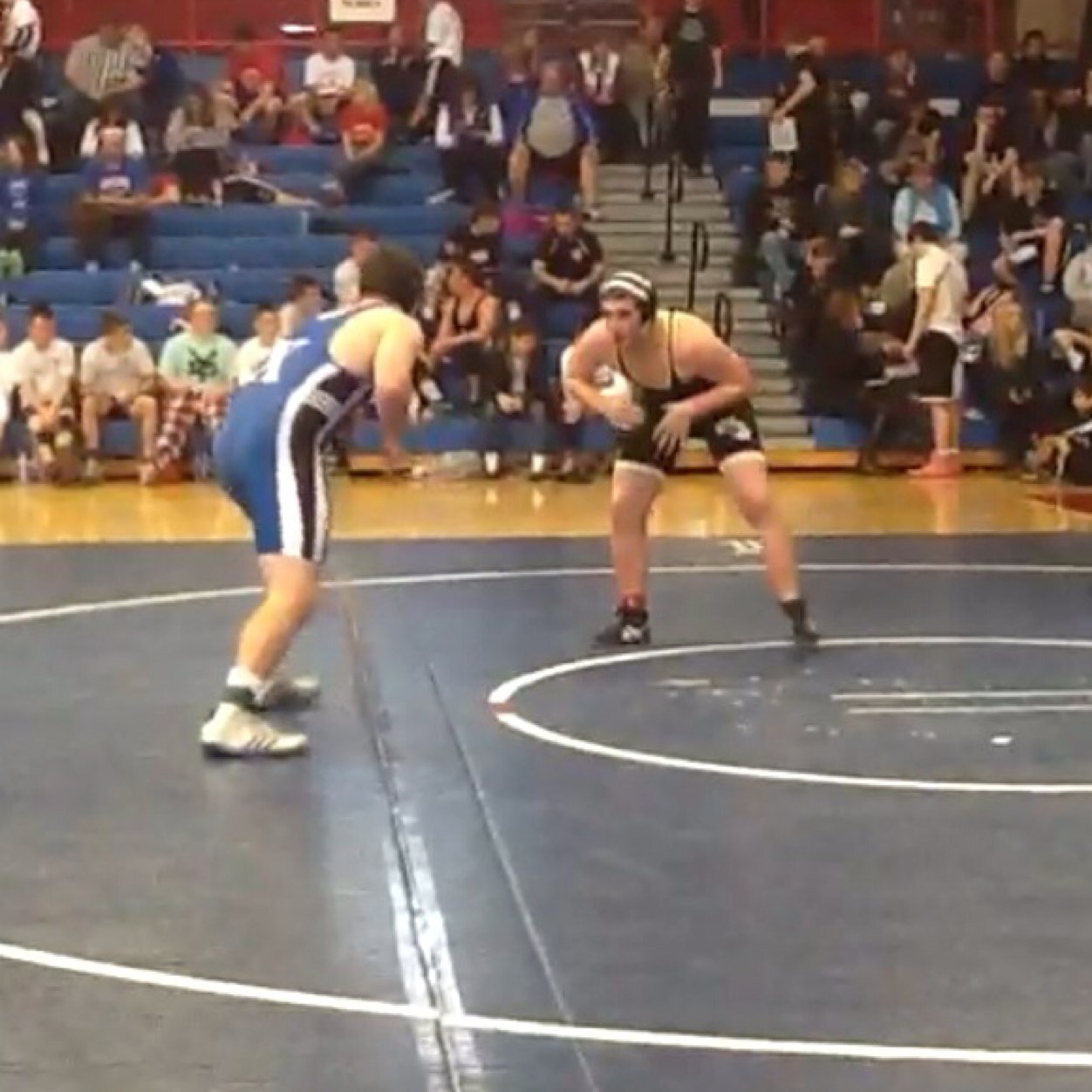 Sophmore and wrestler at Woodford County High School