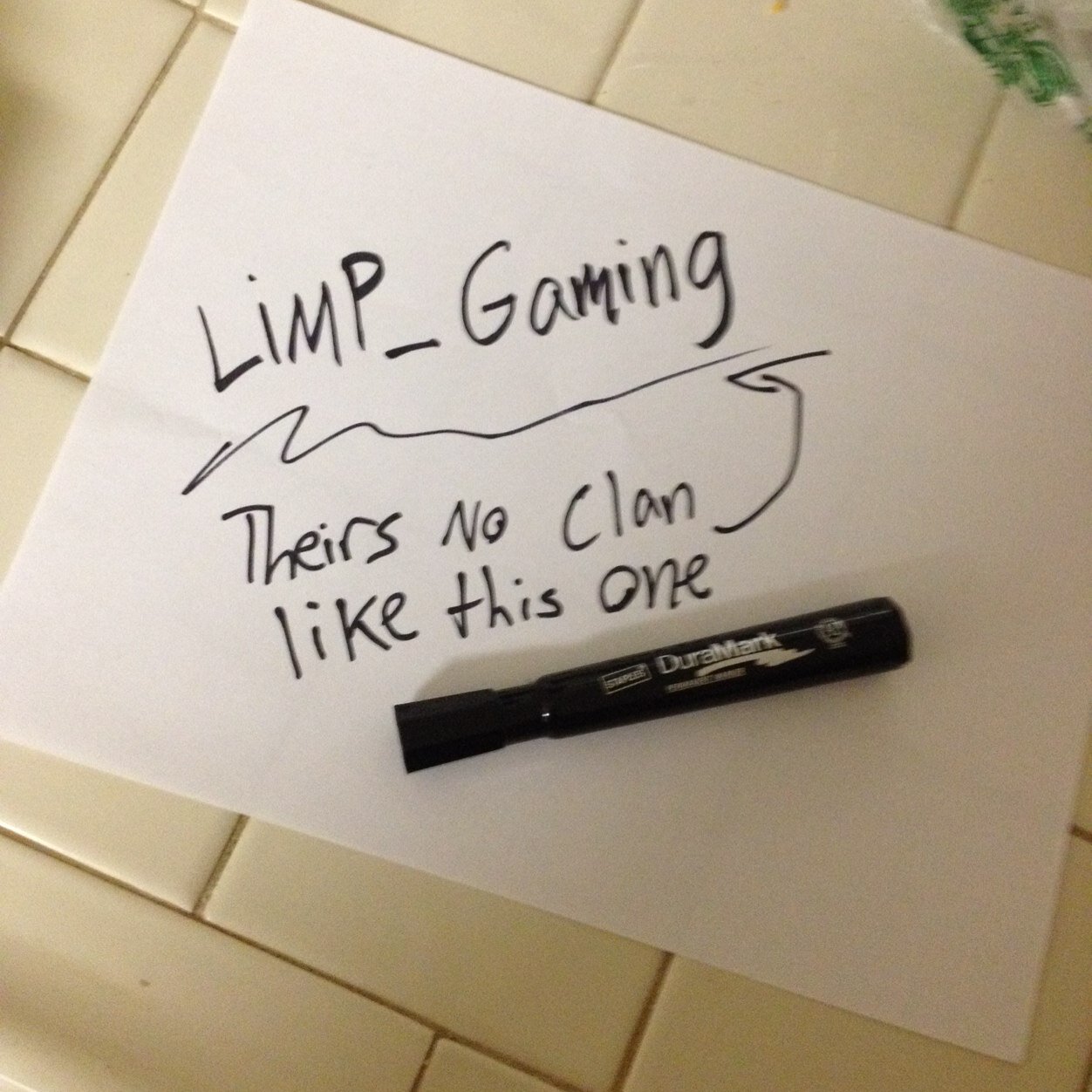 LIMP_Ghost's profile picture. LIMP_Gaming is a clan that just has fun