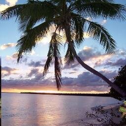 Travel to Tonga!
