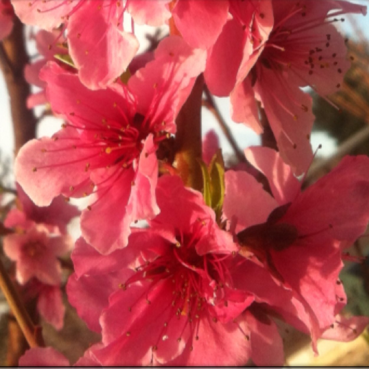 Dixonjeans's profile picture. When you love what you have You have everything you need. Grateful for the love in my heart & ability to share it with others.