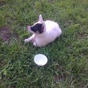 flavio suarez - @flaviosuarez7 - Twitter