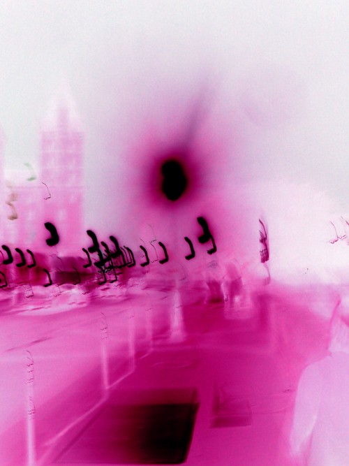 fluxkit's profile picture. stop all the hatin', I can't take it no more