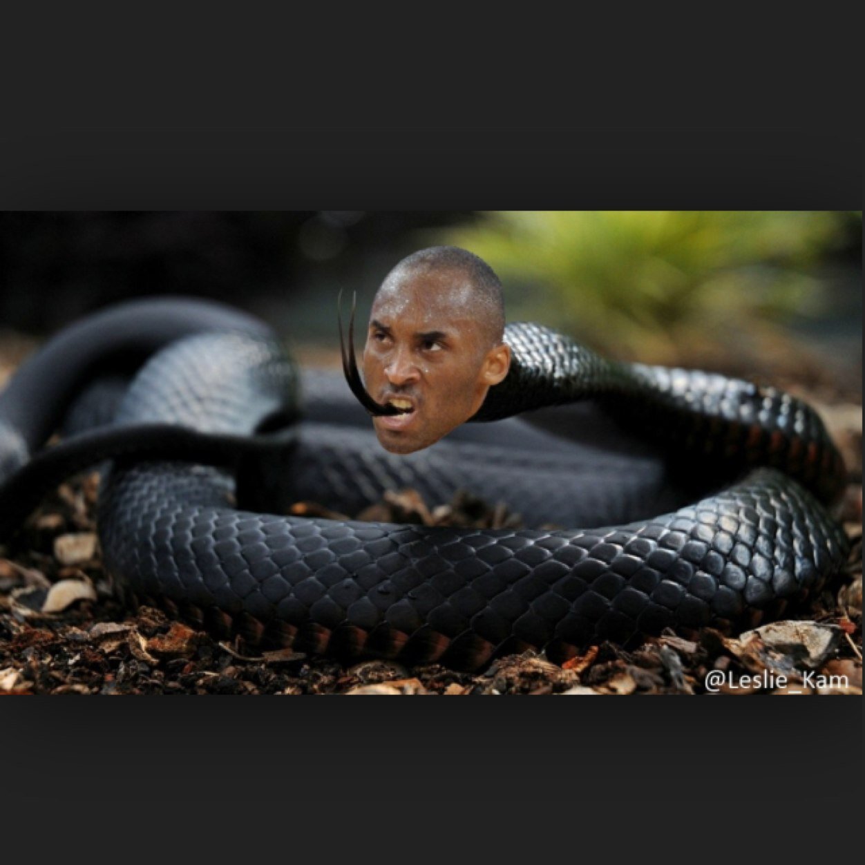 philkoole Profile Picture