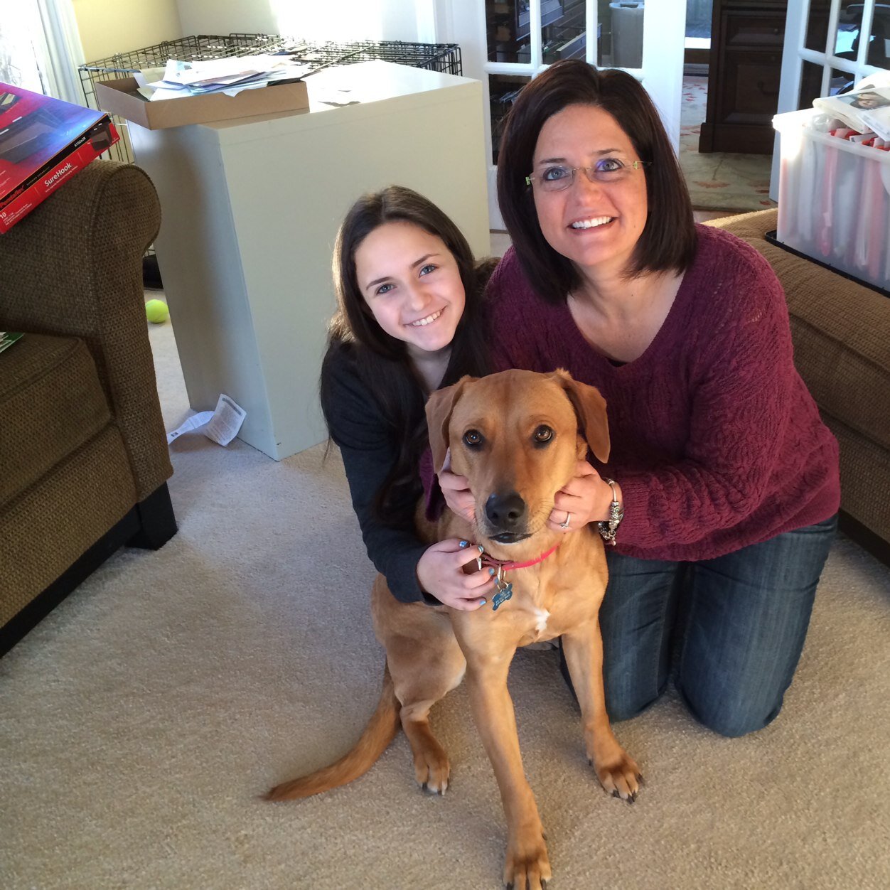 Life Coach, B'nei mitzvah tutor, and Occupational Therapist. Also, mom, wife, friend, maj player and knitter