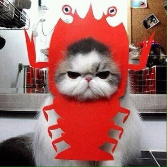 AmenazaEle_ganT's profile picture. Paladín de los inocentes, azote de los pendejos.