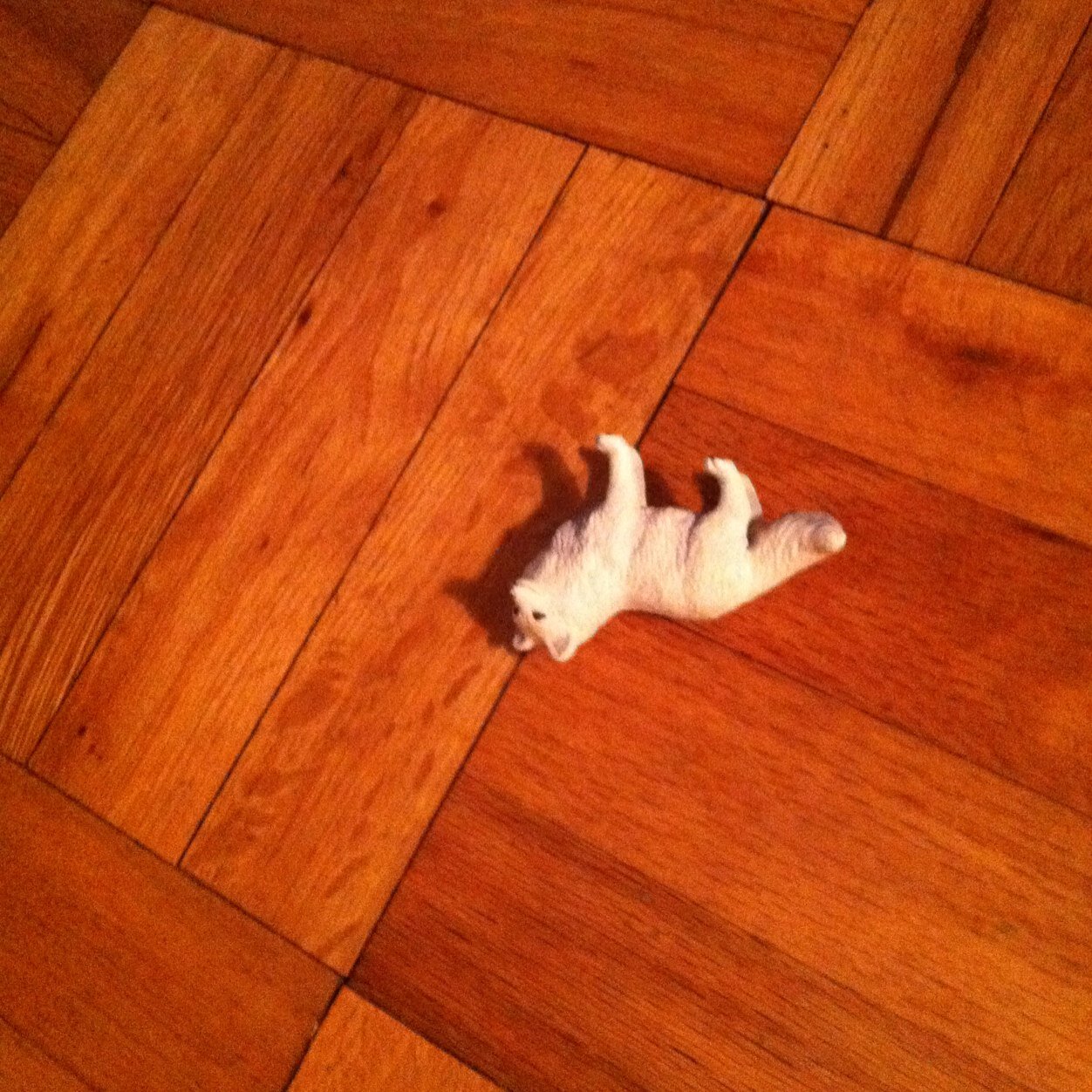 ozwaldhere's profile picture. 