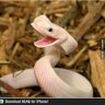 drocky73c's profile picture. 