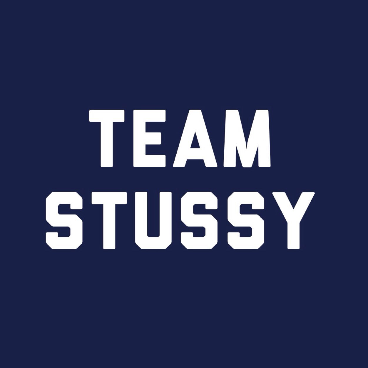 TheStussyTeam's profile picture. PSN Competative Cod | Official Leader: @StussyTurok | Official Owner: @StussyGeo