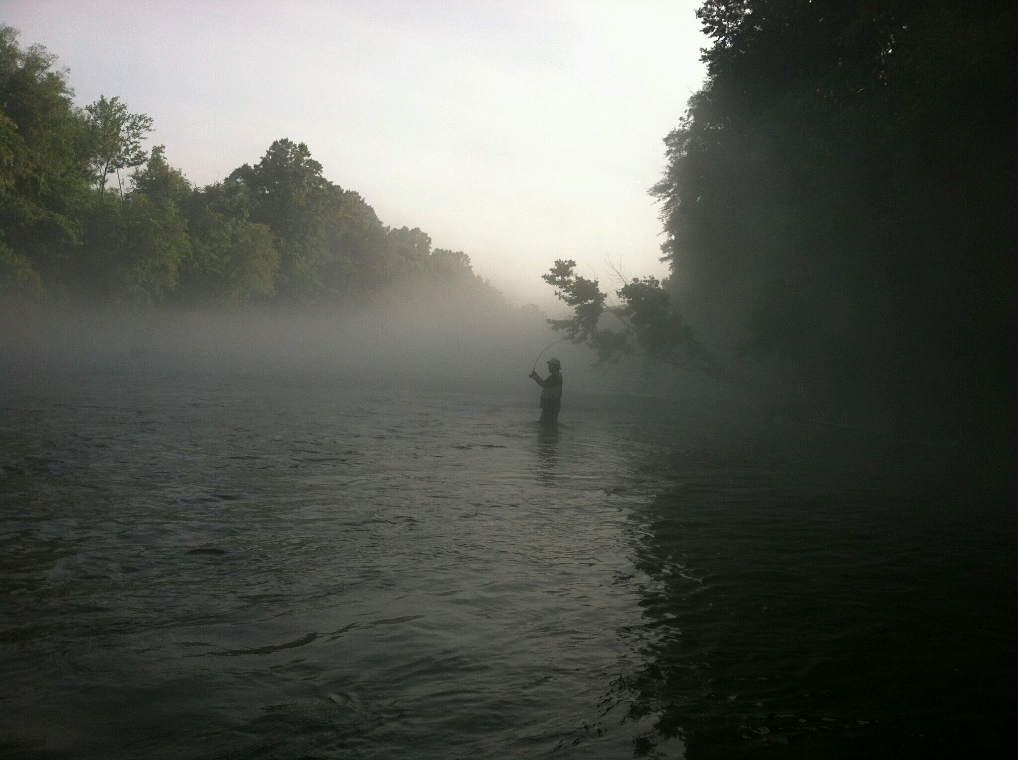 SchoemanJacob's profile picture. 