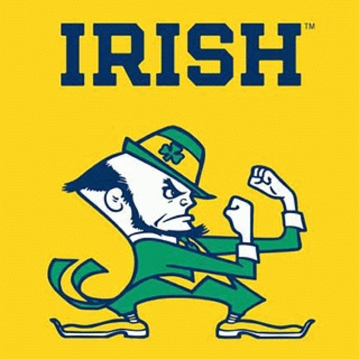 4HorseTrain's profile picture. 