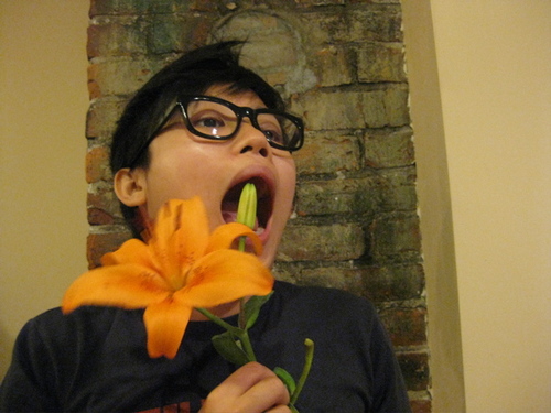 shortpantsW's profile picture. 