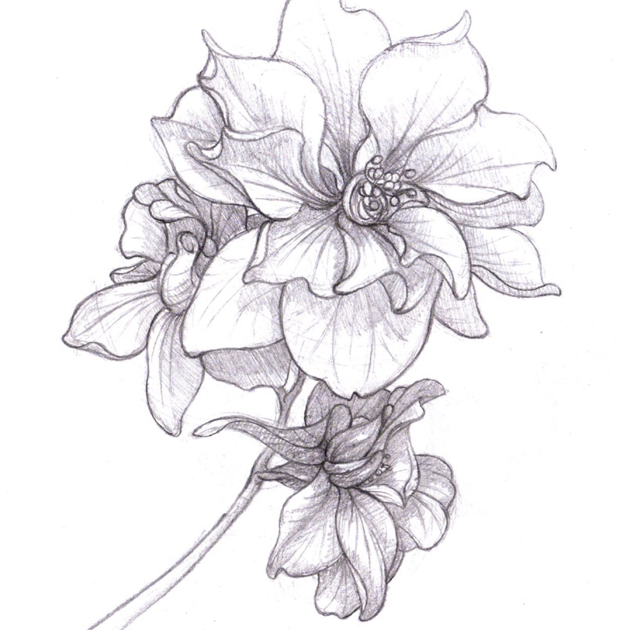 eringobragh6's profile picture. 