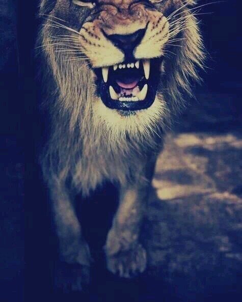 be proud of who you are, you've already made it this far.
