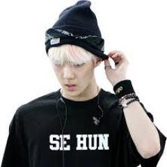 follow @SehunYehets__