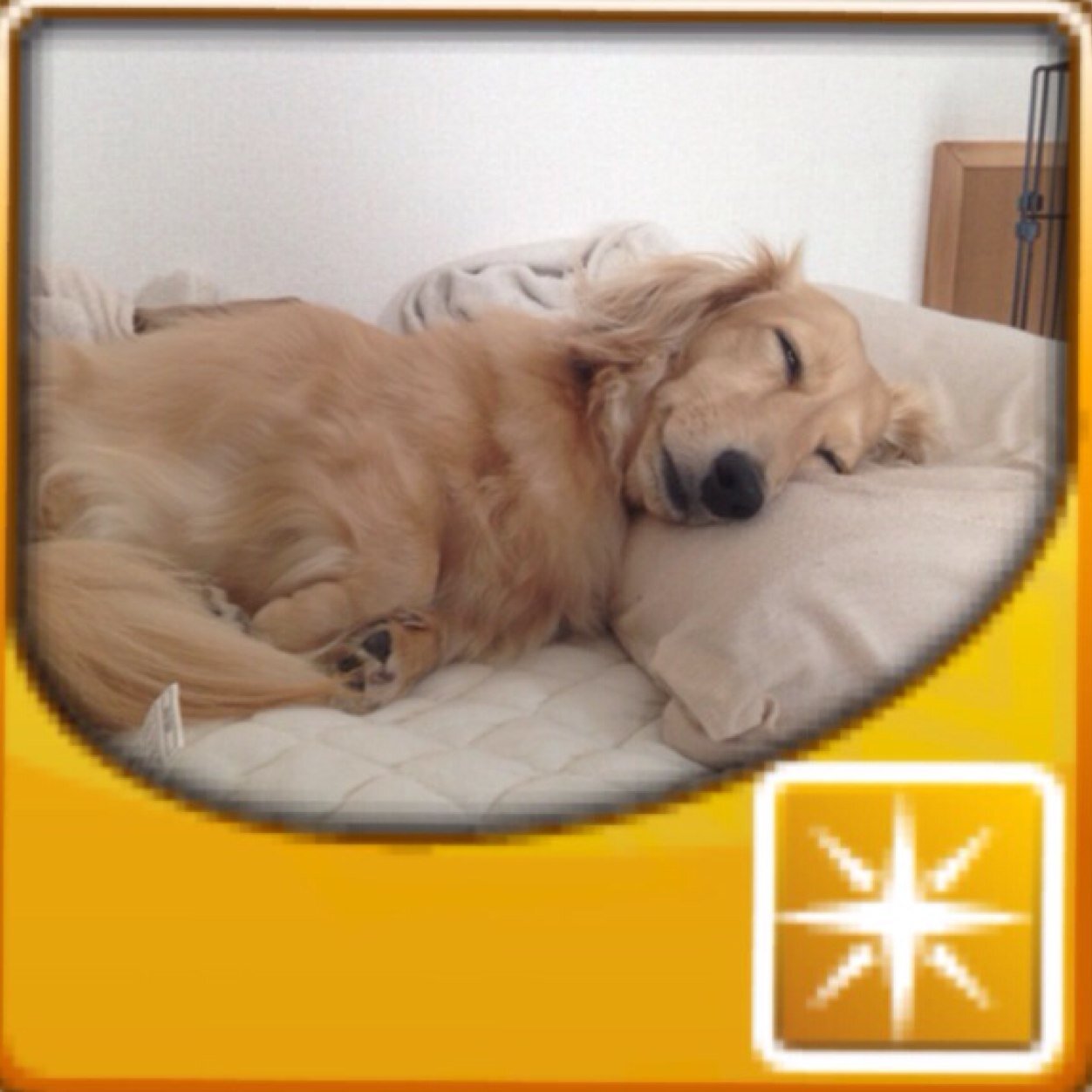 Milk7Happy's profile picture. 主にメインはドラコイです。一時モンストにはまってましたがやっぱりドラコイが1番楽しいo(^▽^)o