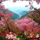 Mainul Haque - @mainul2014 - Twitter