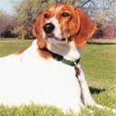 Stephanie Eli Zac - @MyPupBarks - Twitter