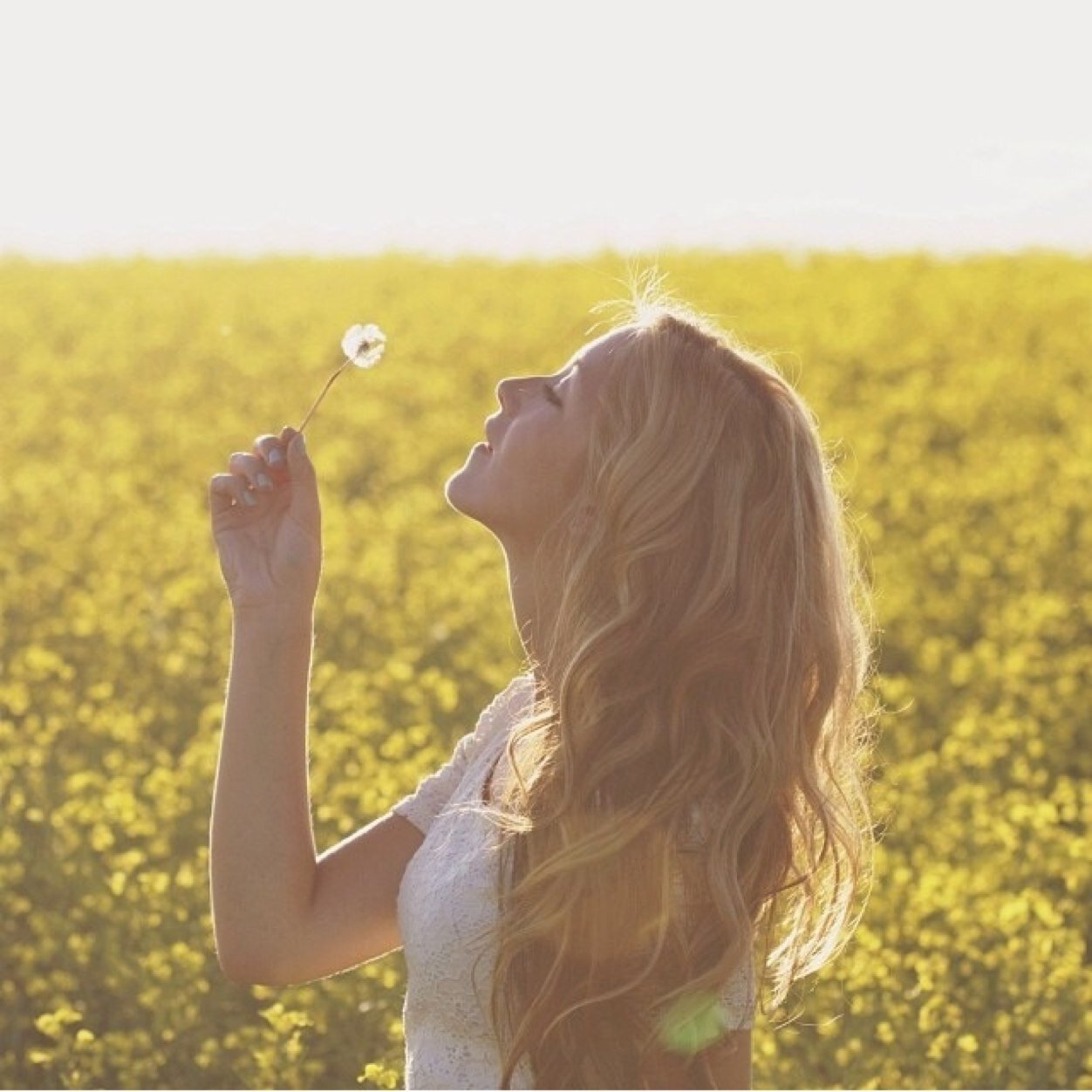 TaraSereda's profile picture. be silly, be honest, be kind