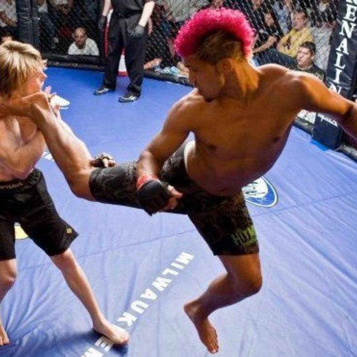11-3 Bellator Veteran