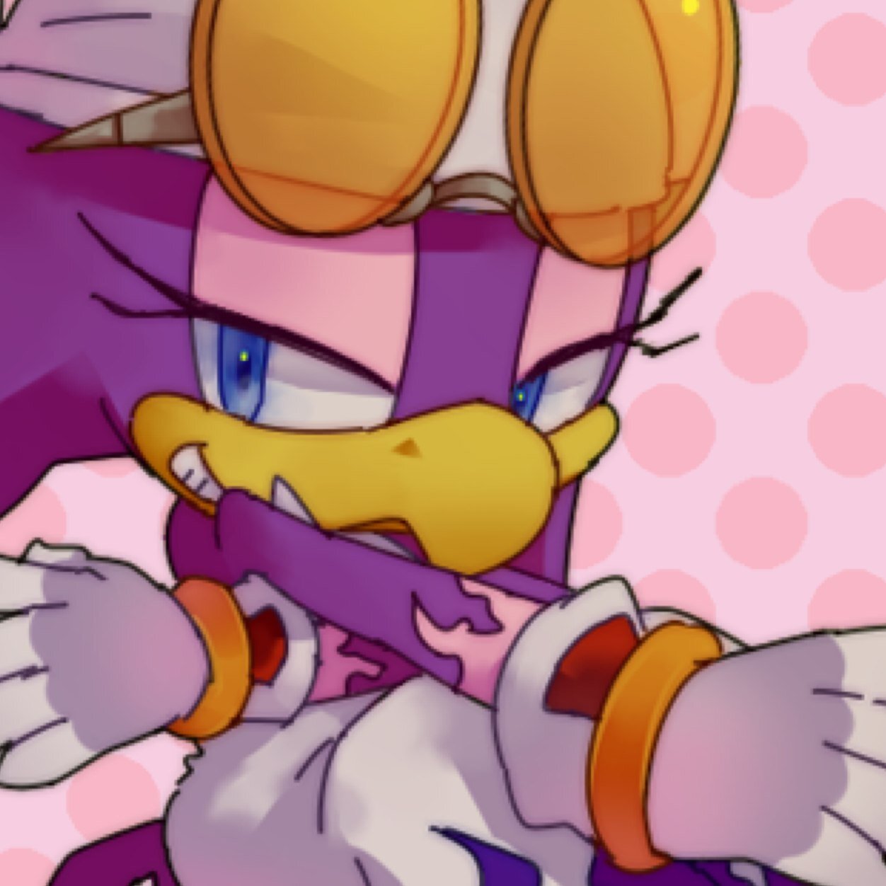 Name's Wave. Wave the Swallow. Remember it. The technical genius of the Babylon Rogues. Way smarter than that twerp named Tails. Eat my dust. (RP Account)
