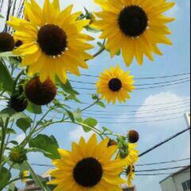 hiro___510's profile picture. 