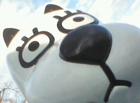 mstooooon's profile picture. ぐんま／とうきょう