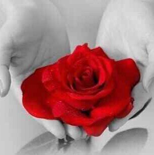 مَ خآبَ قلب ب آلرحَيمِ توكلَ ♥