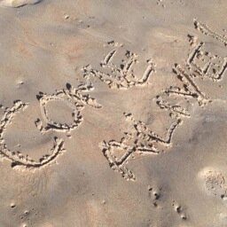 fammusick's profile picture. 