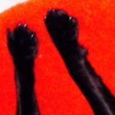 Robin Sayers - @cappydelaguerre - Twitter