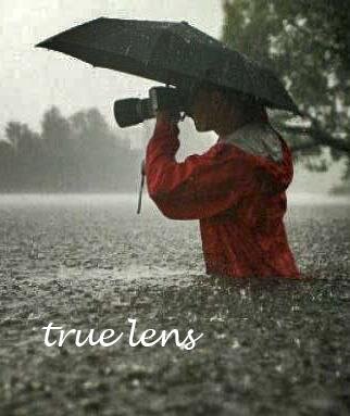 My Passion is Photography