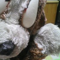 mmmt (@mmkddddm) 's Twitter Profile