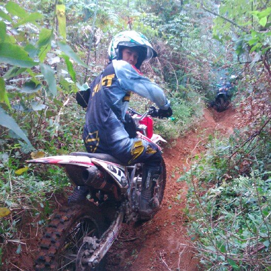 procurve87's profile picture. 