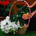 صمتي حكايه (@009fa) Twitter