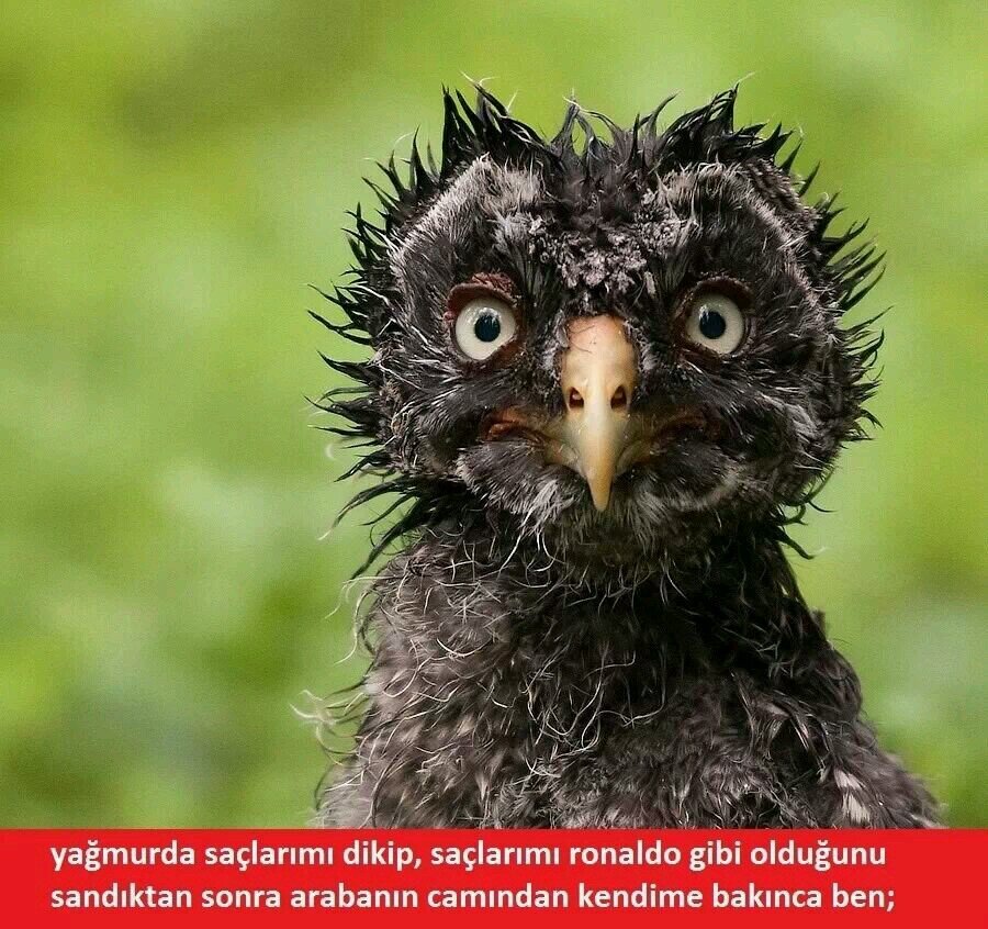 blackhaswhite's profile picture. Ne sahip olduğundur hayat, ne de umdukların bunca zaman.
Yüreğin kadardır hayat!
Seviliyorsan renkli, seviyorsan siyah beyaz.
C.Y.