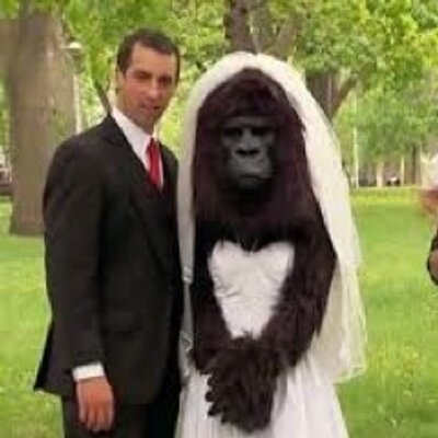 笑える 結婚式の動画 Bot Bridal Neta Twitter