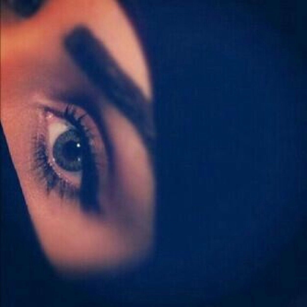 _duid's profile picture. 7444D8FA