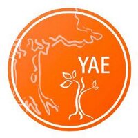 Young Academy of Europe (YAE)(@yacadeuro) 's Twitter Profileg