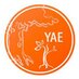 Young Academy of Europe (YAE) (@yacadeuro) Twitter profile photo