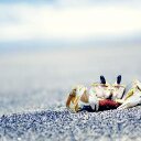 albert cheng - @nbaking001 - Twitter