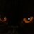 MolletCeline's profile image