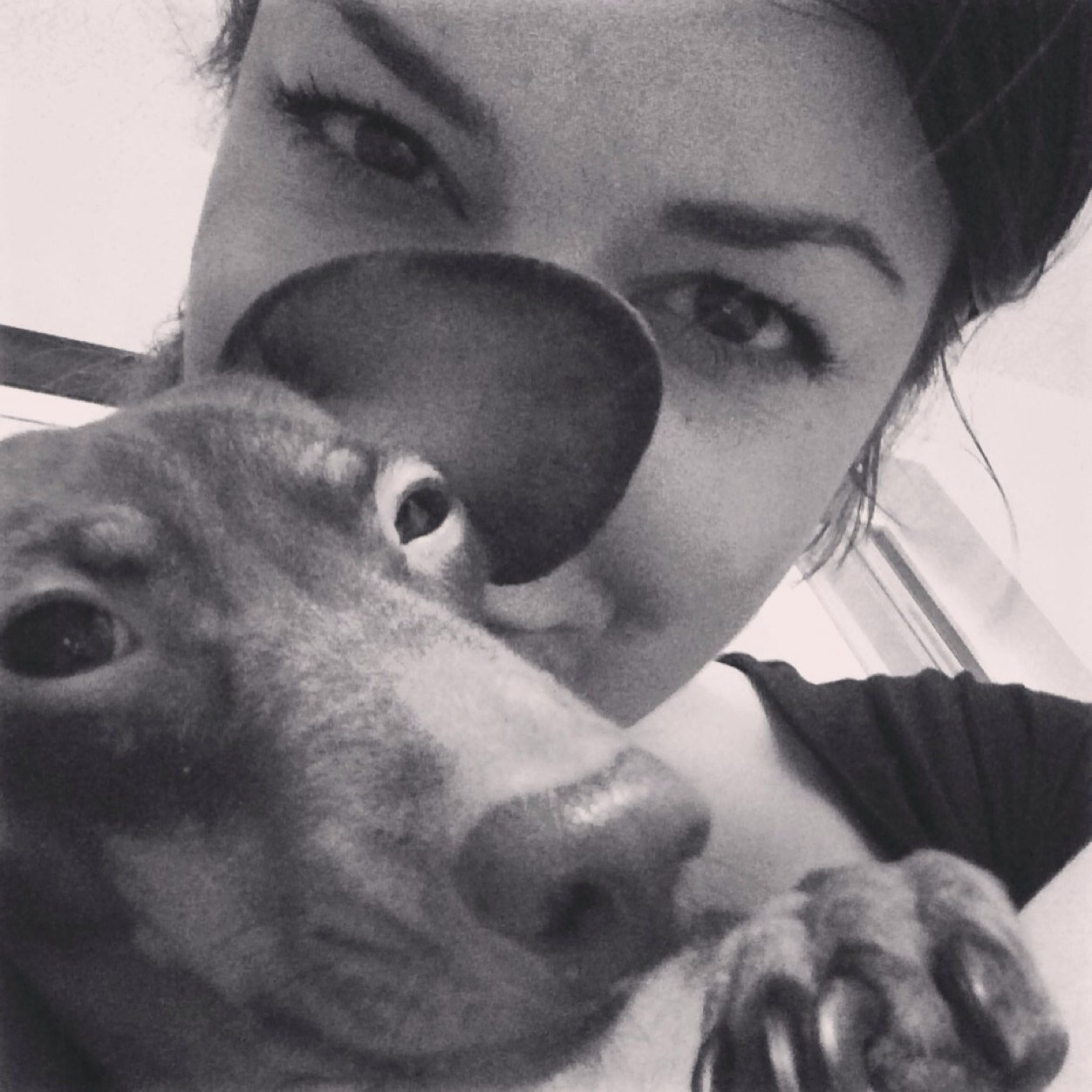 Stephjoi's profile picture. sporadic tweeter/ lover of stuff and things