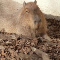 Tackn (@tackn) Twitter profile photo