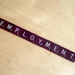 Daily Guide to Job Hunting