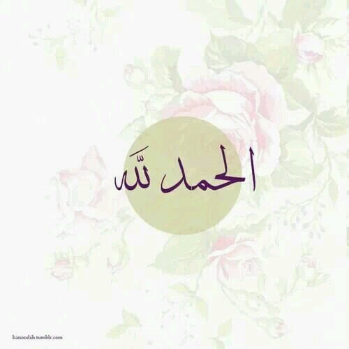 Aliyahs94's profile picture. part of me in the meaning of my name ✨..                                                                        أبعد أذى ظنونك شيءٌ مني قد لاتجِدهٌ هنـآ ..