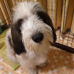 食べることと、愛犬とフィギュアスケートが大好きです。生観戦は2007ワールドから、以降ワールドと五輪はほぼ観戦しています。グルメ隊長です。ミラノ五輪は団体3日目からペアまで観戦。最近は年一ペースでクルーズにも。普段あまりつぶやきませんが、よろしくお願いします。