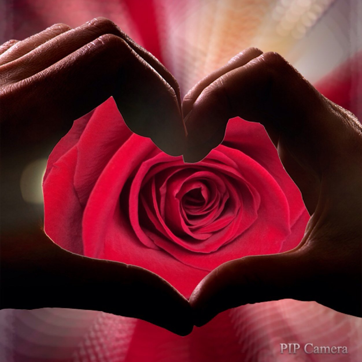 Rainboroseflrst's profile picture. The Rainbow Rose Florist - 28 years in business!