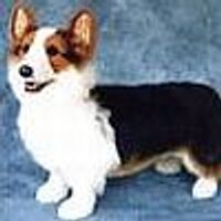 Даша Сидорова (@ju2gwz6e) 's Twitter Profile