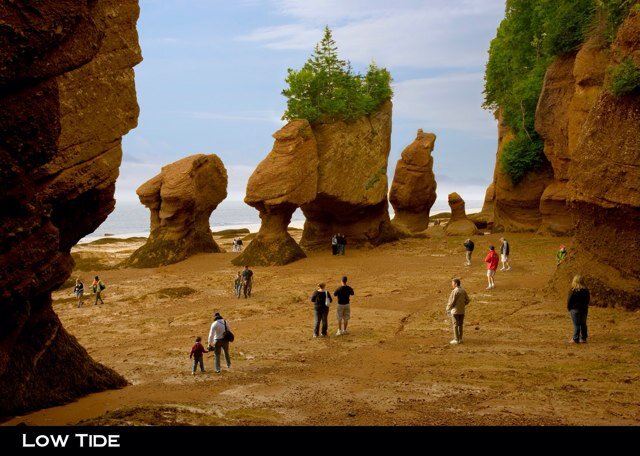 Famous Flowerpot Rocks and the best place on the NB side of the Bay of Fundy to see the world's highest tides. Suivez-nous en français @rochershopewell !